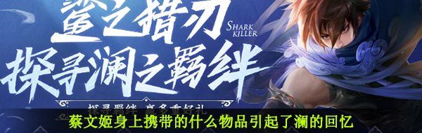 蔡文姬身上携带的什么物品引起了澜的回忆