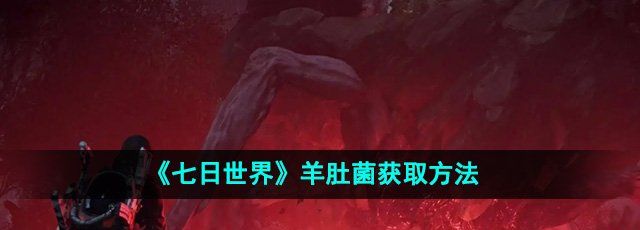 《七日世界》羊肚菌获取方法