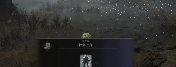 《艾尔登法环》DLC黄金树幽影魔法荆棘上身获取方法