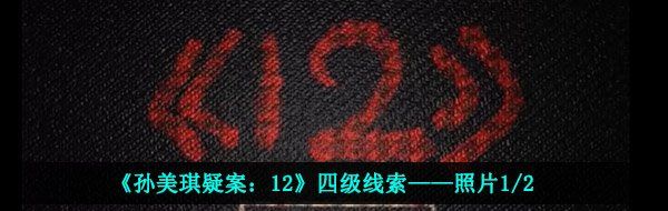 《孙美琪疑案：12》四级线索——照片1/2