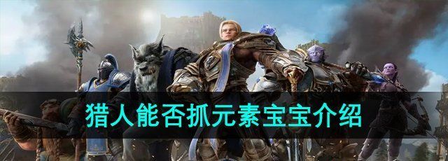 《魔兽世界》猎人能否抓元素宝宝介绍