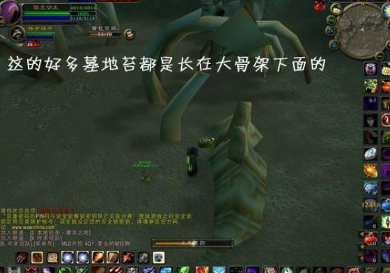魔兽世界墓地苔怎么获得_墓地苔获得方法介绍