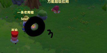 《摩尔庄园手游》满天星花采集位置