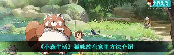 《小森生活》猫咪放在家里方法介绍
