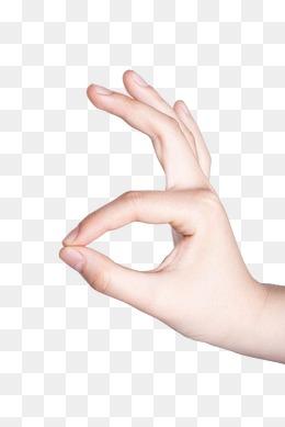 《抖音》孔雀感冒梗意思出处分享