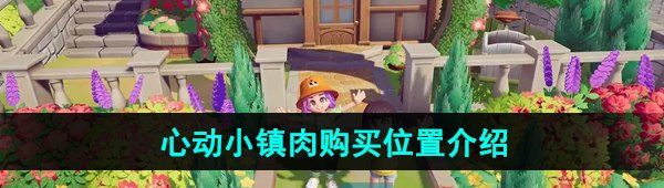 《心动小镇》肉购买位置介绍