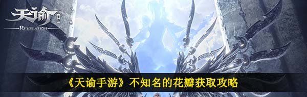 《天谕手游》不知名的花瓣获取攻略