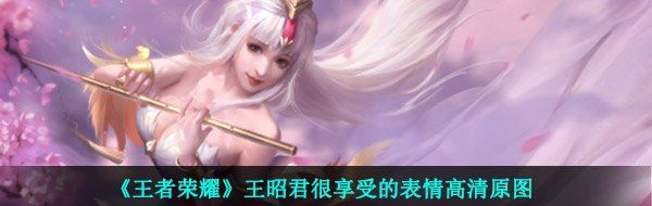《王者荣耀》王昭君很享受的表情高清原图
