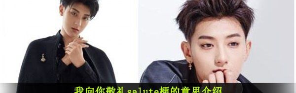 我向你敬礼salute梗的意思介绍