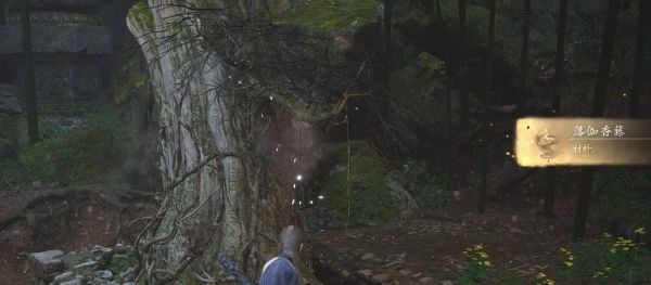 《黑神话悟空》落伽香藤位置介绍