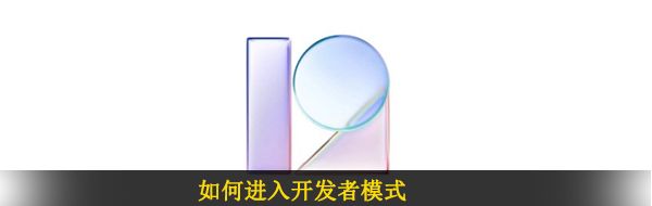 如何进入开发者模式