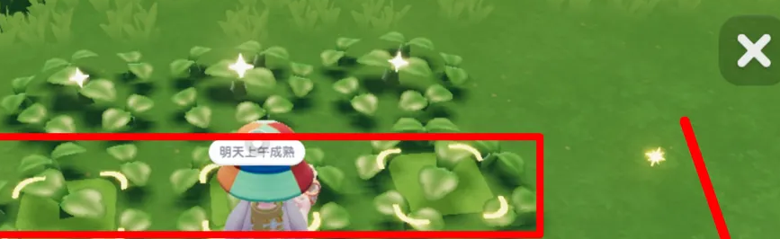 《心动小镇》大范围浇水方法