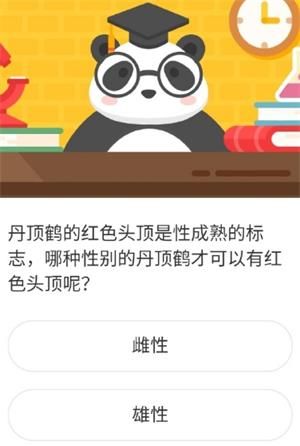 2021《微博》1月23日森林驿站每日一题答案