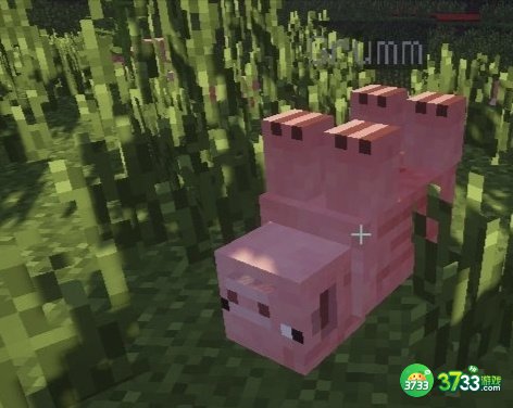 我的世界让生物倒过来的命*怎么弄_MC让生物倒过来的命*制作方法