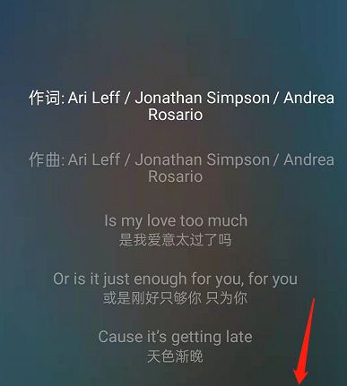 《网易云音乐》歌词翻译关闭方法