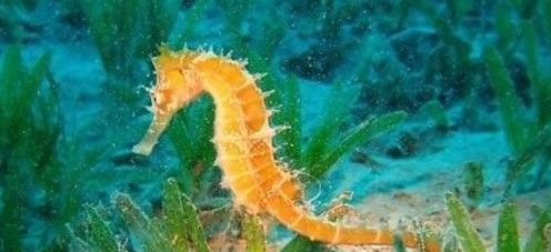 《微博》12月2日森林驿站每日一题答案