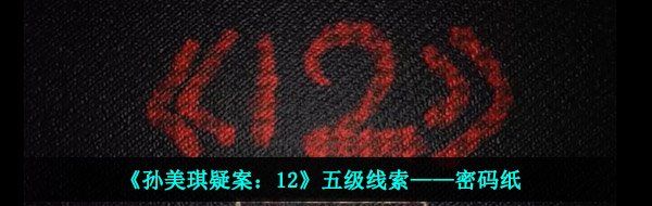 《孙美琪疑案：12》五级线索——密码纸