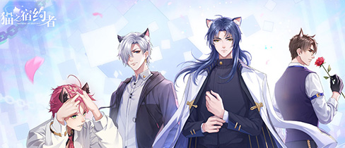 《猫之宿约者》兑换码怎么使用