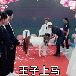 《抖音》殷世航求婚表情包大全GIF动图