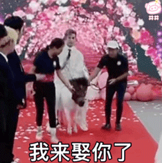 《抖音》殷世航求婚表情包大全GIF动图