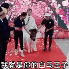 《抖音》殷世航求婚表情包大全GIF动图