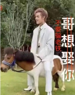 《抖音》殷世航求婚表情包大全GIF动图