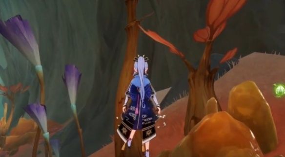 《原神》枫丹树木点位介绍一览
