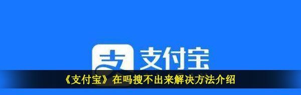 《支付宝》在吗搜不出来解决方法介绍