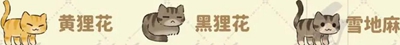 《桃源深处有人家》猫咪喜好是什么