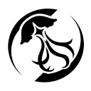 《鸣潮》坎特蕾拉技能介绍