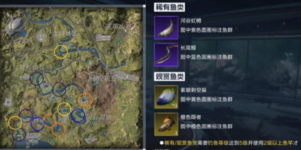 星球重启紫眼刺空裂鱼在哪_星球重启紫眼刺空裂鱼位置介绍
