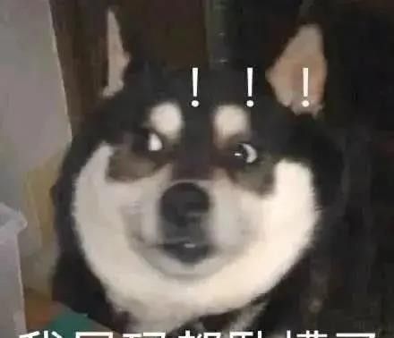 家人们我emo了表情包大全分享