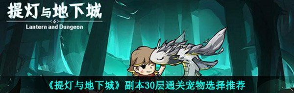 《提灯与地下城》副本30层通关宠物选择推荐