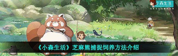 《小森生活》芝麻熊捕捉饲养方法介绍