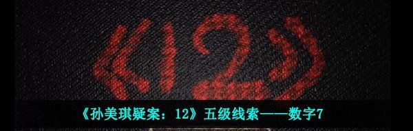 《孙美琪疑案：12》五级线索——数字7
