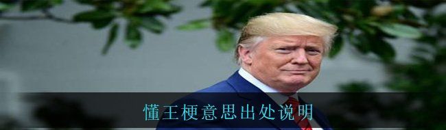懂王梗意思出处说明