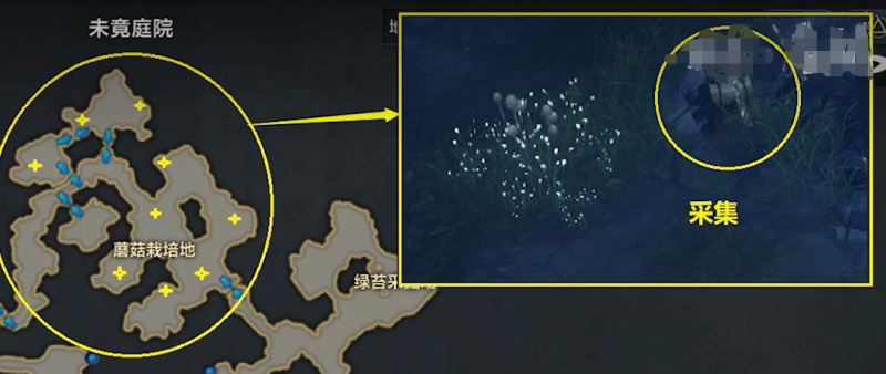 命运方舟*炒蘑菇获取方法地点图一