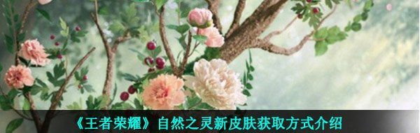 《王者荣耀》自然之灵新皮肤获取方式介绍