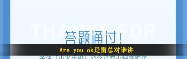 Are you ok是雷总对谁讲