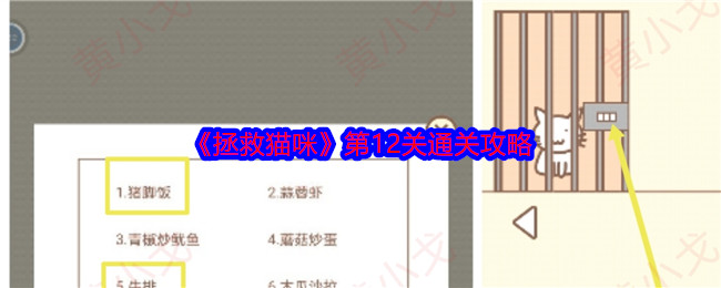 《拯救猫咪》第12关通关攻略