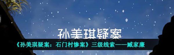 《孙美琪疑案：石门村惨案》三级线索——臧家廉