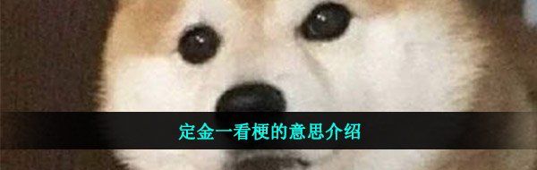 定金一看梗的意思介绍