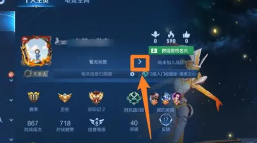 王者荣耀2023更换性别图文教程图二