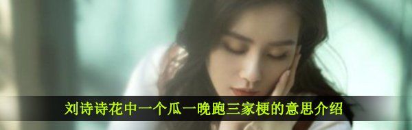 刘诗诗花中一个瓜一晚跑三家梗的意思介绍