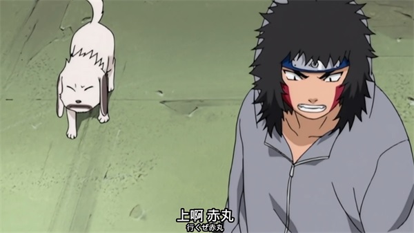 《火影忍者：忍者新世代》S忍犬塚牙[忍界大战]登场