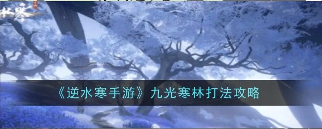 逆水寒手游九光寒林打法是什么-打法攻略