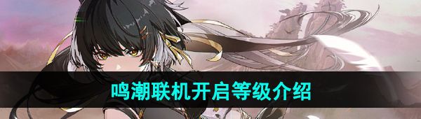 《鸣潮》联机开启等级介绍