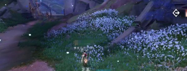 《逆水寒手游》迷谷逢蝉奇遇攻略