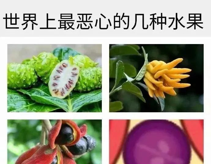 《微信》小游戏合成大西瓜表情包大全分享