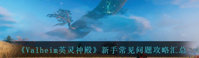 《Valheim英灵神殿》新手常见问题攻略汇总